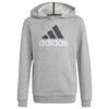 ADIDAS Kid's BL 2 Hoodie - Hoodie 2 ADIDAS Kid's BL 2 Hoodie - Hoodie -Kinderausstattung adidas kids bl 2 hoodie hoodie