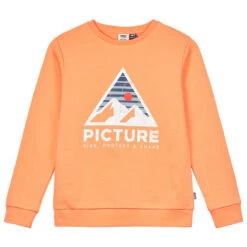 Picture Kid's Authentic Crew - Pullover 7 Picture Kid's Authentic Crew - Pullover -Kinderausstattung picture kids authentic crew pullover 1